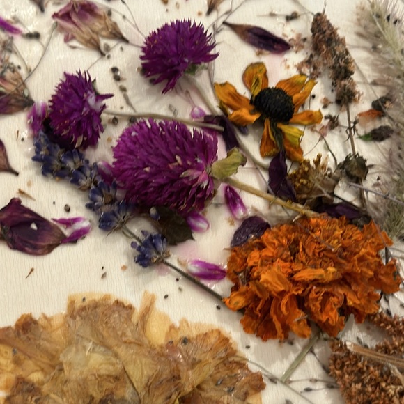 Pressed Flower Wall Art - Picture 6 of 9